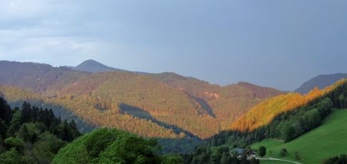 Friseure BLW 19 (74)