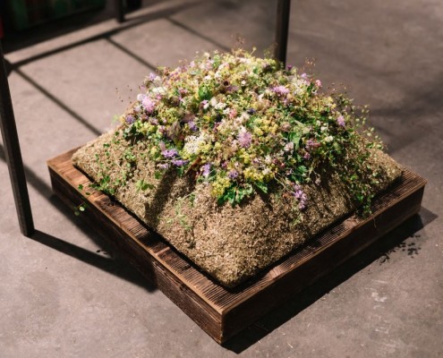 2019-06 WKO Floristen by Nikki Harris-106