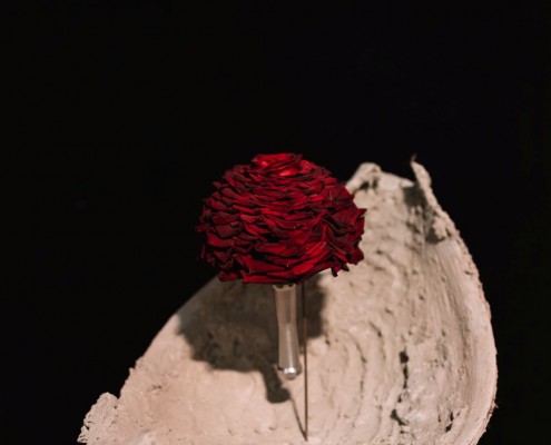 2019-06 WKO Floristen by Nikki Harris-243