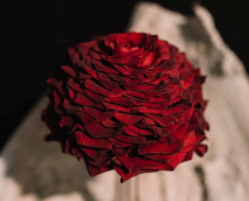 2019-06 WKO Floristen by Nikki Harris-253