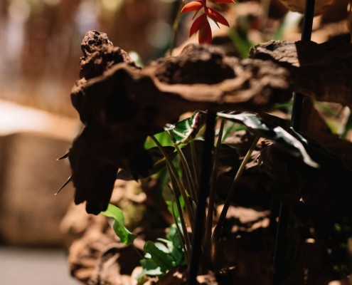 2019-06 WKO Floristen by Nikki Harris-337