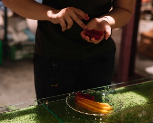 2019-06 WKO Floristen by Nikki Harris-356