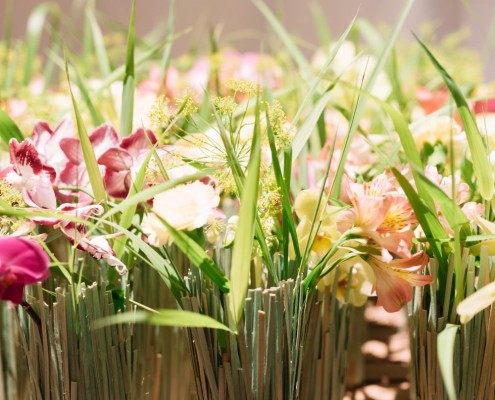 2019-06 WKO Floristen by Nikki Harris-420