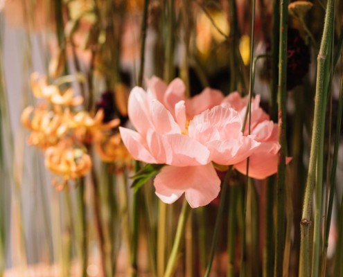 2019-06 WKO Floristen by Nikki Harris-429