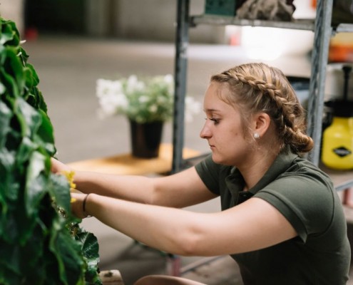 2019-06 WKO Floristen by Nikki Harris-57