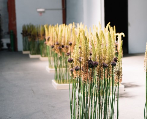 2019-06 WKO Floristen by Nikki Harris-67