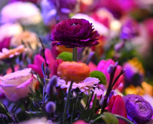 Lehrlings-Gala-2023-118-©-eventbox-at